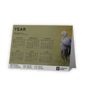 Tent or A-Frame Calendar SA Birds Blue Crane