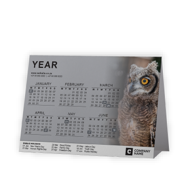 Tent or A-Frame Calendar SA Birds Spotted Eagle Owl