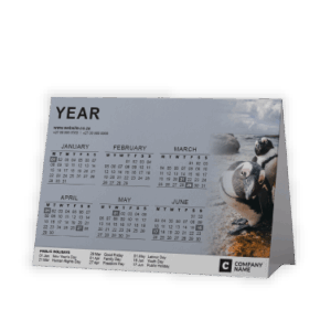 Tent or A-Frame Calendar SA Birds Boulders Beach Penguins