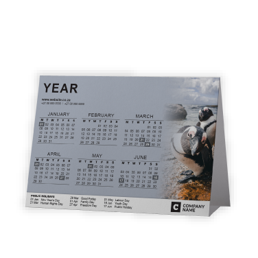 Tent or A-Frame Calendar SA Birds Boulders Beach Penguins