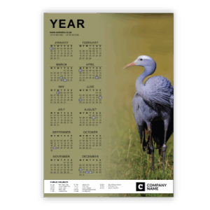Wall Calendar SA Birds Blue Crane