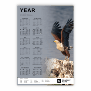 Wall Calendar SA Birds Fish Eagle