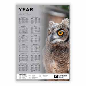 Wall Calendar SA Birds Spotted Eagle Owl