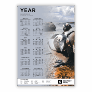 Wall Calendar SA Birds Boulder Beach Penguins