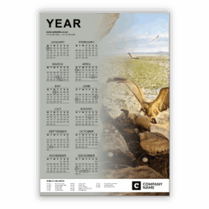 Wall Calendar SA Birds Vultures