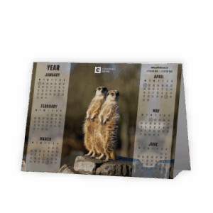 Tent or A-Frame Calendar SA Wildlife Meerkat