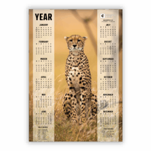 Wall Calendar SA Wildlife Cheetah