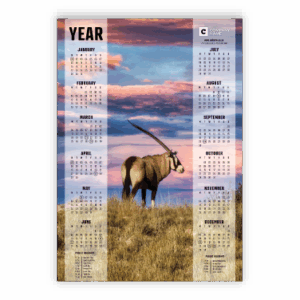 Wall Calendar SA Wildlife Oryx