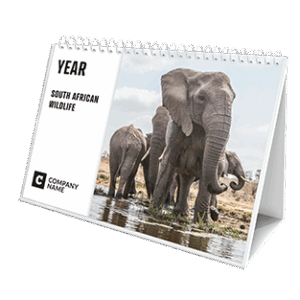 Multipage Tent Calendars SA Wildlife