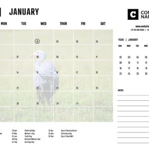 Desk Pad Calendars SA Birds